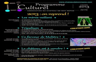 Programme 2013 version finale acbr