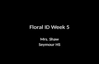 Floral ID Week 5