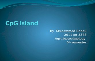 Introduction to CpG island power point presentation