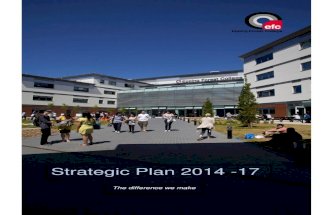 Strategic plan 2014 2017