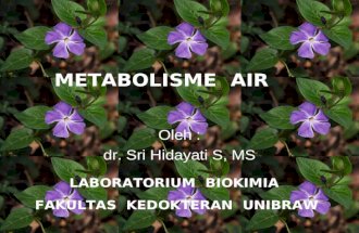 Metabolisme air   dr. tien