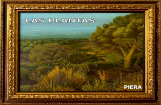 Las plantas (María José Piera Campos)