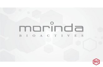 Standard Morinda opportunity presentation