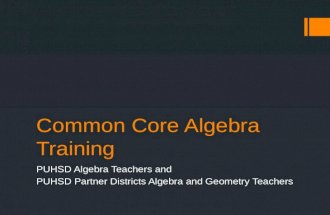 Common core algebra training