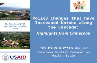 Policy Changes That Have Increased Uptake Along the Cascade: Highlights from Cameroon