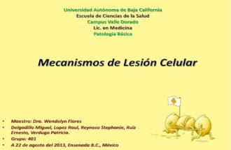 Mecanismos de lesión celular Delgadillo, Lopez, Reynoso, Ruiz, Verdugo