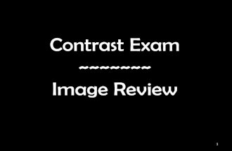 Radiology Clinical V ~ Contrast Exams ~ Image Review