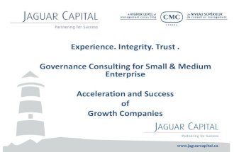 Governance consulting for small and medium enterprise growth oriented companies