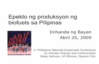Epekto ng produksyon ng biofuels sa Pilipinas