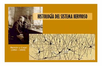 Histología del sistema nervioso