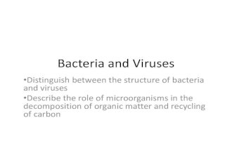Bacteria and viruses
