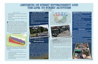 Aesthetic of Street Environment and the link to pedestrian activity poster