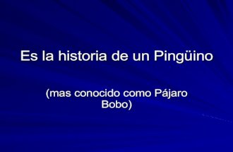 La Argentina K Historia Dell Pinguino