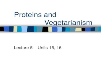 Lecture5 proteins