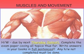 L 11. Muscles And Movement New