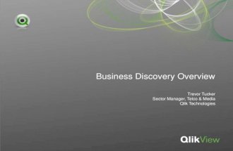 Business Discovery Ppt