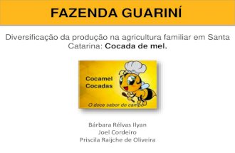 Diversificação da produção na agricultura familiar em Santa Catarina: Cocada de mel.