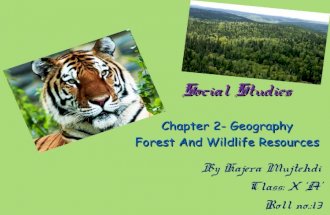Forest and wildlife resources