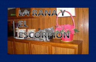 La Rana Y El Escorpion