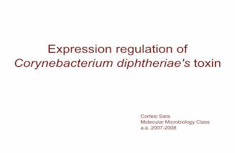 Expression regulation of diphteria toxin