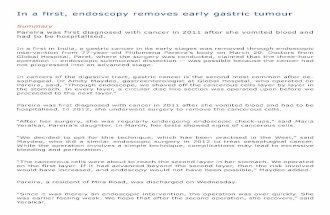 In a First, Endoscopy Removes Early Gastric Tumour