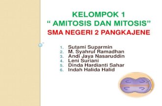 Amitosis dan Mitosis Cell Division