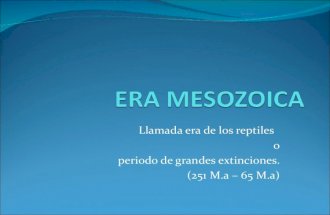 Diapositivas del grupo formado por Rast, Juárez, Aguirre y Medina