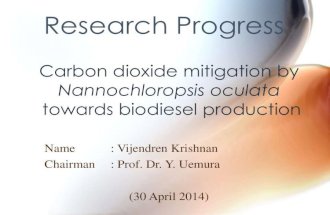 Carbon dioxide mitigation by Nannochloropsis oculata  towards biodiesel production