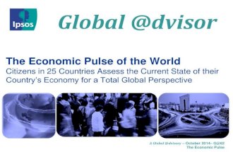 Ipsos' Economic Pulse of the World - November 2014