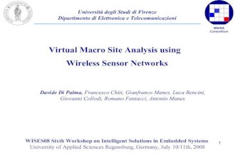 Virtual Macro Site Analysis using Wireless Sensor Networks