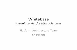 Whitebase : Assault Carrier for Micro-Services