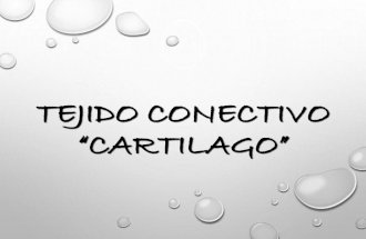 Tejido Conectivo "Cartilago"