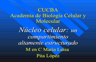 Nucleo2