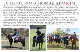 Chloe horse sports blog