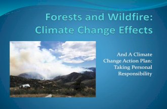 Forests and Wildfire: Climate Change Effects -- Grand Junction