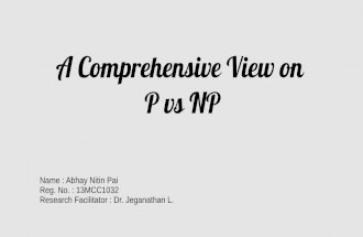 A comprehensive view on P vs NP