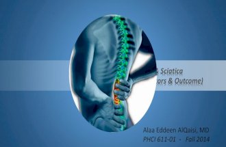 Low Back Pain & Sciatica