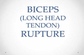 Biceps Tendon Rupture And Physiotherapy Management