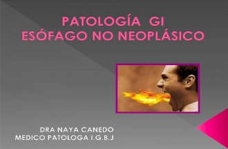 Patología  no neoplasica de esofago.diplo