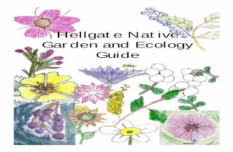 Hellgate Native Garden and Ecology Guide - University of Montana