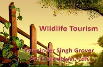 Wildlife tourism