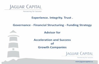 Governance - Financial Structuring - Funding Strategy Advisor