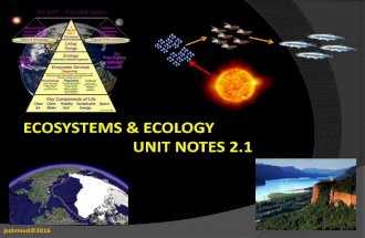 Ecology and ecosystems notes