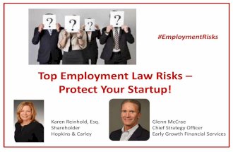 Top Employment Law Risks