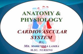 Cardiovascular system ppt