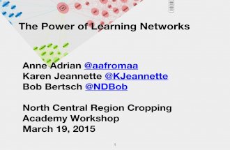 The Power of Learning Networks