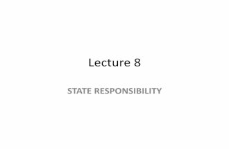 Lecture 8   state responsibility