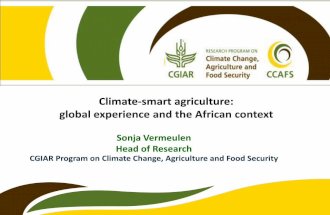 Climate-smart agriculture: global experience and the African context
