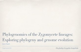 Phylogenomics of the Zygomycetes - Fungal Genetics 2015