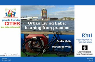 Urban living labs   learning from practice